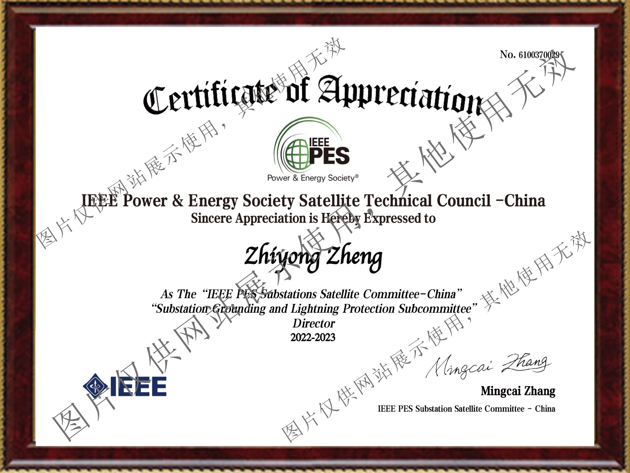 熱烈慶祝我公司董事長當(dāng)選為IEEE PES 變電站接地與防雷分技術(shù)委員會(huì)理事